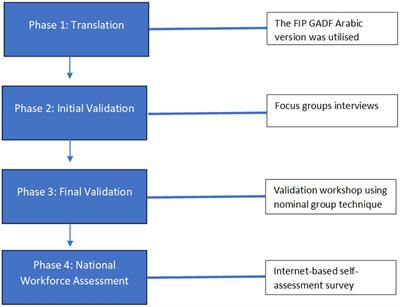 Competency development for pharmacy: adopting and adapting the FIP global advanced development framework